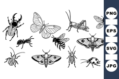 Vintage Insect Line Art Clipart for Crafts Product Image 1