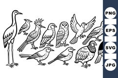 Hand Drawn Exotic Birds Vector Clipart Product Image 1
