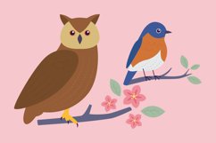 Flat Vector Birds Product Image 1