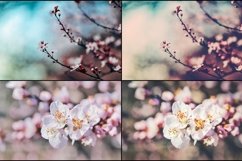 35 Flowering Spring Lightroom Presets Product Image 2