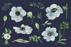 Watercolour Anemone, Hand Painted Watercolour Clipart Product Image 4