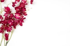 Orchid Flower Branch Flat Lay Product Image 1
