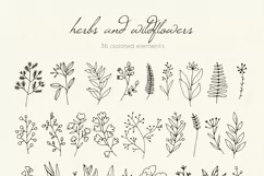 Instagram Flower, spots, Highlights Icons, Story cover Product Image 3