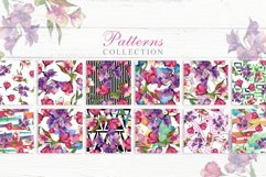 Alstroemeria Watercolor png Product Image 3