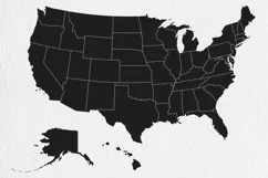 Political divisions of the US. Basis silhouettes Product Image 2