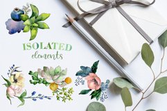 Bouquets with succulents Watercolor png Product Image 6