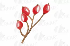 Cotton bolls and fir branch leafy autumn and winter decor Product Image 25