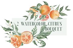 2 Citrus watercolor clipart, orange blossom with mandarin Product Image 1