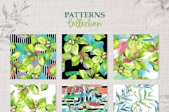 Elaeagnus leaves Watercolor png Product Image 6