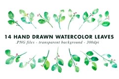 Watercolor Leaves Clip Art Product Image 2