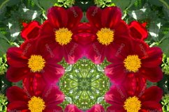 12 abstract Seamless colorful FLOWER patterns pack. Product Image 10