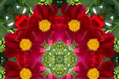 12 abstract Seamless colorful FLOWER patterns pack. Product Image 10