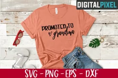 Promoted To Grandma Est 2020 Svg, New Grandma Svg Product Image 2