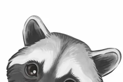 Watercolor animals Raccoon graphics Woodland baby animals Product Image 9