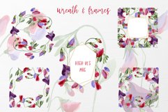 Watercolor Flowers Sweet Pea PNG Product Image 3