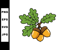 Oak tree branch with acorns and green leaves vector illustra Product Image 1