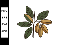 Branch with brown pods and green leaves botanical vector ill Product Image 1