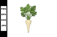 Parsnip root vegetable with green leaves isolated on white b Product Image 1