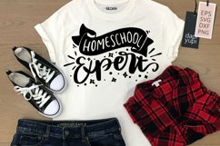 Homeschool Expert Lettering Quotes Product Image 1