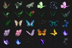 100 BUTTERFLIES TRANSPARENT PNG FILES, PHOTOSHOP OVERLAYS Product Image 8