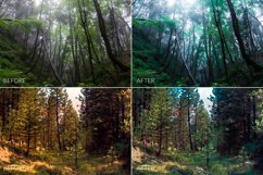 Dark Forest Lr Presets Product Image 11