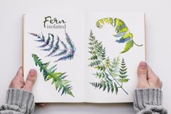 Fern Watercolor png Product Image 7