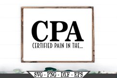 CPA Certified Pain In The Funny Accountant SVG Product Image 1