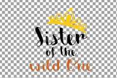 Wild One baby fox t-shirt graphic, family birthday svg files Product Image 18
