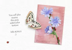 30%OFF! Watercolor Flowers and Bird Product Image 3