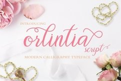 Web Font Orlintia Script Product Image 1