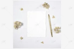 Paper and Hortensia Mock-up, PSDJPG Product Image 4
