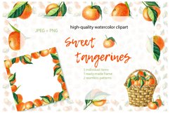 Sweet Tangerines. Watercolor clip-art. Product Image 1