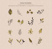 Watercolor Shapes Botanical Overlays Product Image 6