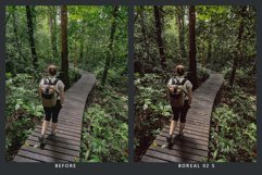 20 Forestry Lightroom Presets &amp; LUTs Product Image 7