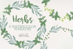 Herb Wreaths 6 Watercolor Leaves Sage Mint Rosemary Leaf Product Image 1