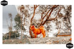 10 Amber Photoshop Actions And ACR Presets, warm Instagram Product Image 8