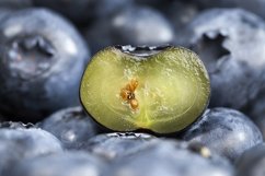 cut blueberries rich in vitamins Product Image 1