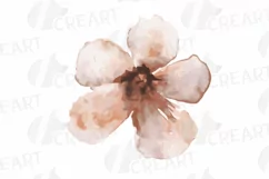 Faded orange and blush flowers and green leaves watercolor Product Image 11