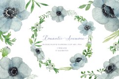 Watercolour Anemone, Hand Painted Watercolour Clipart Product Image 1