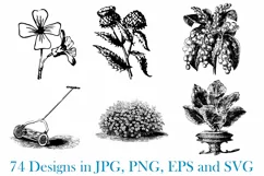 74 Woodcut Vintage Floral and Garden Illustration Collection Product Image 7
