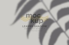 Aspidistra Leaves Shadow Overlay Effect Mockup Product Image 1