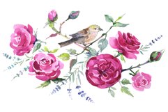 Bouquet with roses and a bird Watercolor png Product Image 1