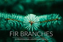Fir Branches Lr Presets Product Image 1