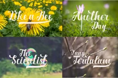 Ardina Script - Free Font of The Week Product Image 3