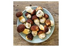 Porcini mushrooms in blue plate Product Image 1