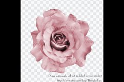 100 Real Roses Clip Arts, Romantic Valentine Scrapbook Product Image 2