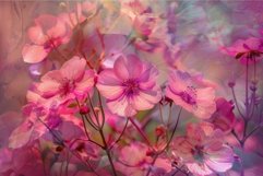 Dreamy pink blossoms artistic background Product Image 1