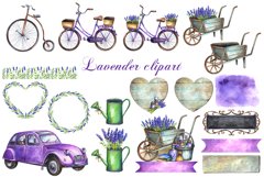 Watercolor lavender clipart Product Image 3