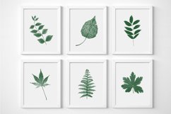 Plant Print Set, Wall Art Printable, Set of 6 Prints Product Image 1