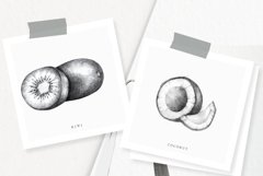 Hand drawn Fruit Collection Product Image 11